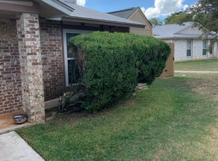 Bush Trimming by Adel Baker for Hector G. in San Antonio, TX