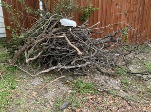 Cleanups by Andrew Garza for Rob B. in San Antonio, TX