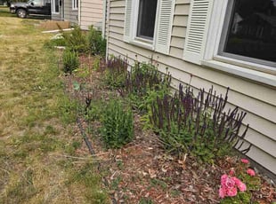 Weeding by Ismael Lozano for John C. in Saint Paul, MN
