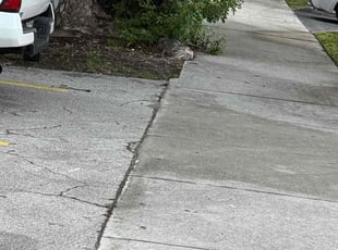 Jonathan L.'s Cleanups service result
