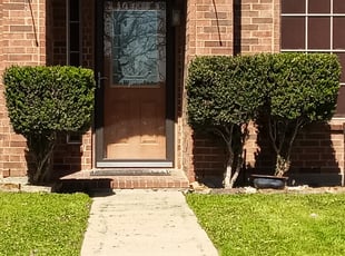 Bush Trimming by Eve Solis for Johnny V. in Cedar Hill, TX
