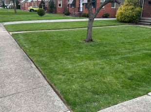 Barbara S.'s Lawn Mowing service result