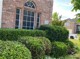 Bush Trimming by Ethan Howard for Joseph B. in Fort Worth, TX
