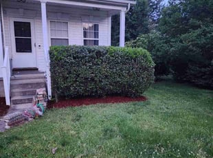 Bush Trimming by Pedro Guity for Jazzy O. in Durham, NC