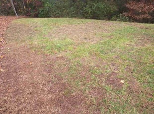 Leaf Removal by Trevor Philipp for Andrew S. in Chesapeake, VA