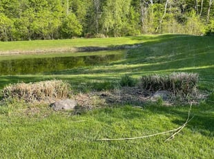 Cleanups by Chai Vue for Allen R. in Streetsboro, OH