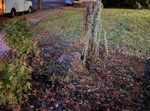Cleanups by Brant Kloiber for Jill S. in Allentown, PA
