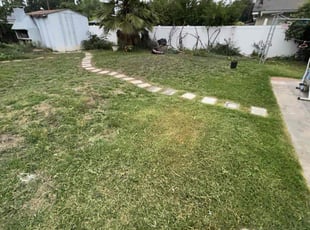 Monique A.'s Cleanups service result