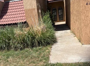 Michael p.'s Bush Trimming service result