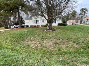 Leaf Removal by Chris Thomas for Fred S. in Midlothian, VA