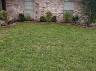 Cleanups by Gray Allen for Raven S. in Harvey, LA