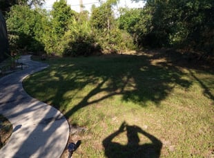 Leaf Removal by Kimberly Gray for John H. in Deltona, FL
