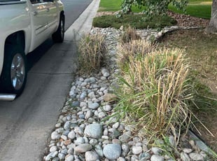 Bush Trimming by Adameus Marcum for Terrance B. in Aurora, CO
