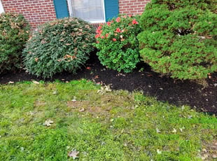 Mulching by William Calloway for Christina W. in Statesville, NC
