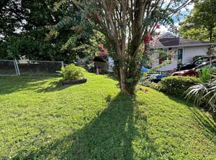 Bruce H.'s Yard Cutting service result