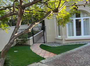 Leaf Removal by Robert Camarena for Bobby S. in Los Angeles, CA