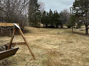 Leaf Removal by Angel Aguilar Lopez for David L. in Minneapolis, MN