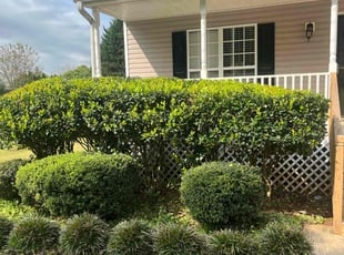 Bush Trimming by Ryan Lindsey for Kimberly B. in Winder, GA