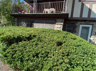 Bush Trimming by Ted Ostavitz for Deborah W. in Cincinnati, OH
