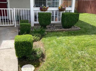 Cleanups by Hugo Lopez for Bill C. in Menifee, CA