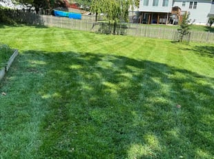 Shaad H.'s Lawn Mowing Service service result