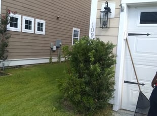 Bush Trimming by Waymond Washington for Chato G. in Charleston, SC