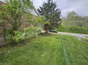 Cleanups by Kevin Philips for Charles G. in Cincinnati, OH