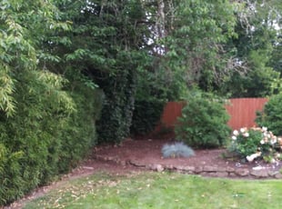 Cleanups by Juan Ruiz for Dani H. in Beaverton, OR