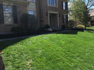 Mulching by Thomas Vogelsang for Lynn J. in Cincinnati, OH