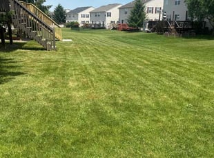 Thaddius H.'s Lawn Mowing Service service result