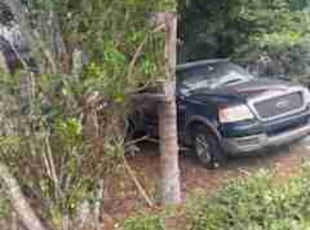 Bush Trimming by Melani Brown for Quintavius H. in Apopka, FL