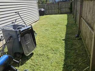 Hannah S.'s Lawn Service service result