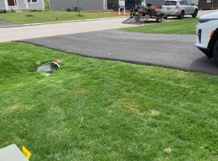 Tyiese W.'s Lawn Service service result