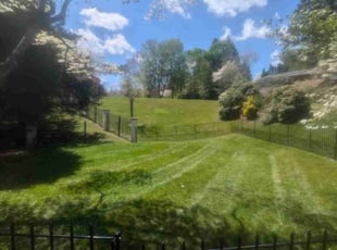 Kaitlyn C.'s Lawn Maintenance service result