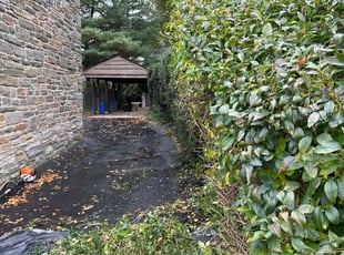 Bush Trimming by Michael Scime for Cathy F. in Drexel Hill, PA