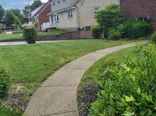 Cody R.'s Lawn Care service result