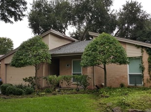 Bush Trimming by Leopoldo Cardoso for Chris R. in Sugar Land, TX