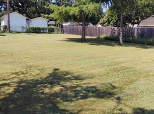 Cody M.'s Lawn Mowing service result