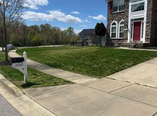 Velda C.'s Lawn Mowing service result