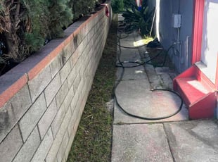 Leaf Removal by Fernando Gomez Rodriguez for Mina S. in Los Angeles, CA