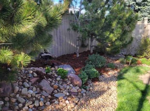 Mulching by Jason Bickler for Kristen C. in Boulder, CO