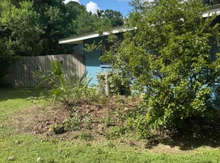 Dave T.'s Bush Trimming service result