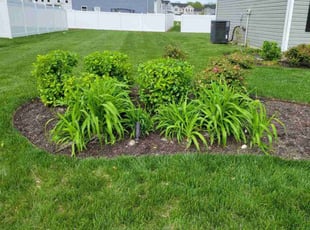 Amanda L.'s Lawn Care service result