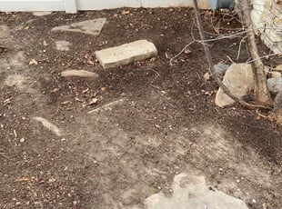 Leaf Removal by Steve Truslow for Mehdi L. in Midvale, UT