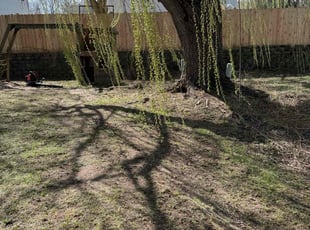 Leaf Removal by Gavin DesRoche for Liz j. in Kenosha, WI