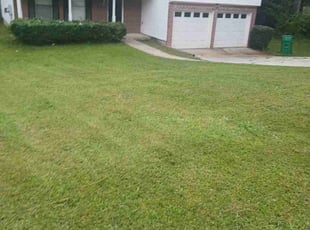 Janine L.'s Bush Trimming service result