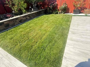 Stephanie l.'s Lawn Care service result
