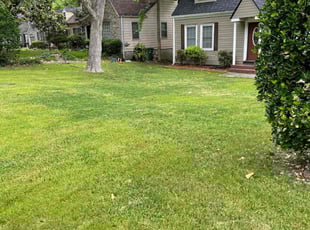 Cheron C.'s Lawn Mowing Service service result