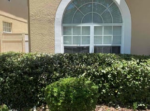 Bush Trimming by Catherine Thomas for Kat M. in Land O' Lakes, FL
