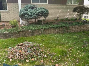 Bush Trimming by Sedrick Huff for Aaron T. in Taylor, MI